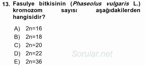 Tarla Bitkileri 1 2016 - 2017 3 Ders Sınavı 13.Soru