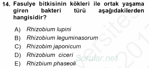 Tarla Bitkileri 1 2016 - 2017 3 Ders Sınavı 14.Soru