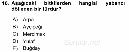 Tarla Bitkileri 1 2016 - 2017 3 Ders Sınavı 16.Soru