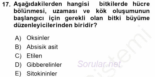 Tarla Bitkileri 1 2016 - 2017 3 Ders Sınavı 17.Soru