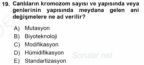 Tarla Bitkileri 1 2016 - 2017 3 Ders Sınavı 19.Soru