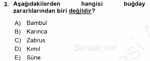 Tarla Bitkileri 1 2016 - 2017 3 Ders Sınavı 3.Soru