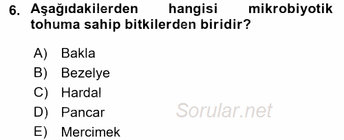 Tarla Bitkileri 1 2016 - 2017 3 Ders Sınavı 6.Soru