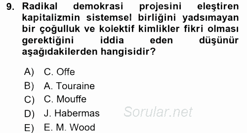 Toplumsal Tabakalaşma ve Eşitsizlik 2016 - 2017 Dönem Sonu Sınavı 9.Soru