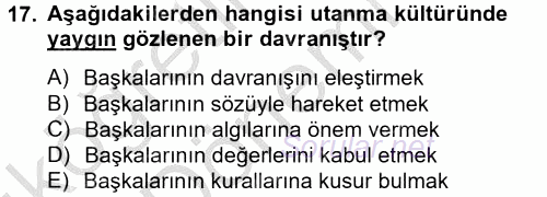 Kültürlerarası İletişim 2014 - 2015 Ara Sınavı 17.Soru