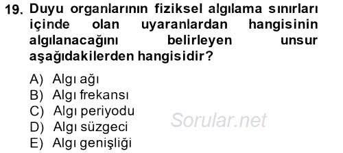 Kültürlerarası İletişim 2014 - 2015 Ara Sınavı 19.Soru