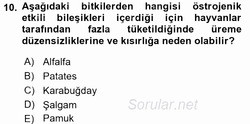 Temel Veteriner Farmakoloji ve Toksikoloji 2016 - 2017 Dönem Sonu Sınavı 10.Soru