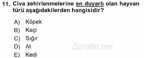 Temel Veteriner Farmakoloji ve Toksikoloji 2016 - 2017 Dönem Sonu Sınavı 11.Soru