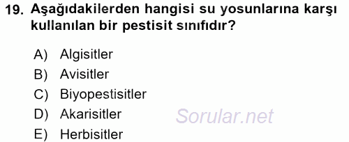 Temel Veteriner Farmakoloji ve Toksikoloji 2016 - 2017 Dönem Sonu Sınavı 19.Soru