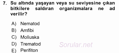 Temel Veteriner Farmakoloji ve Toksikoloji 2016 - 2017 Dönem Sonu Sınavı 7.Soru