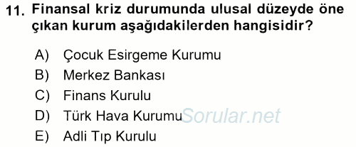 Uluslararası Kamu Maliyesi 2017 - 2018 Ara Sınavı 11.Soru