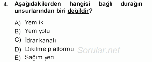 Tarımsal Yapılar ve Sulama 2014 - 2015 Dönem Sonu Sınavı 4.Soru