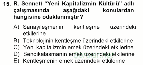 Sosyolojide Yakın Dönem Gelişmeler 2013 - 2014 Tek Ders Sınavı 15.Soru