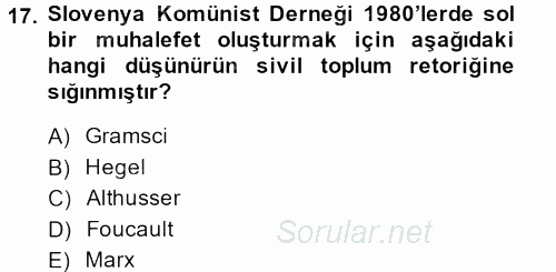 Sosyolojide Yakın Dönem Gelişmeler 2013 - 2014 Tek Ders Sınavı 17.Soru