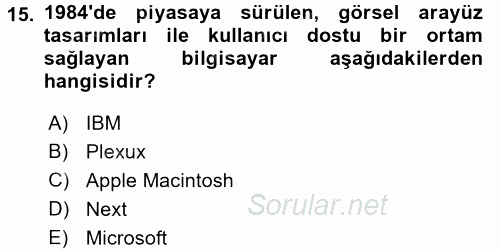 Görsel Kültür 2016 - 2017 Dönem Sonu Sınavı 15.Soru