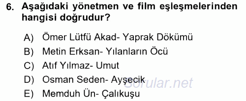 Görsel Kültür 2016 - 2017 Dönem Sonu Sınavı 6.Soru