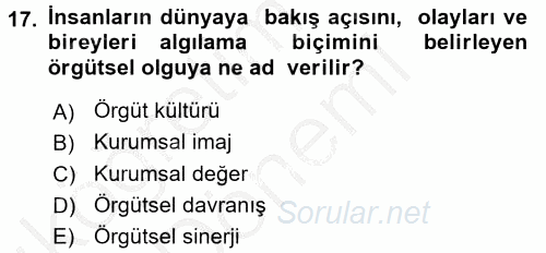 Örgütsel Davranış 2016 - 2017 Ara Sınavı 17.Soru