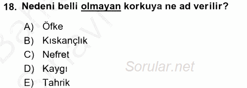 Örgütsel Davranış 2016 - 2017 Ara Sınavı 18.Soru