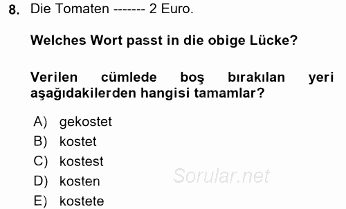 Almanca 1 2017 - 2018 Dönem Sonu Sınavı 8.Soru