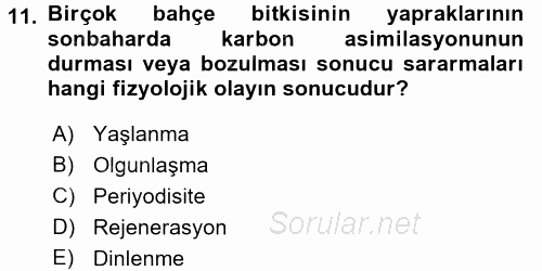 Bahçe Tarımı 1 2015 - 2016 Dönem Sonu Sınavı 11.Soru