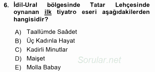XIX. Yüzyıl Türk Dünyası 2017 - 2018 Ara Sınavı 6.Soru