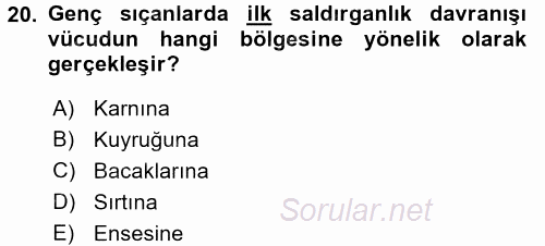 Laboratuvar Hayvanlarını Yetiştirme ve Sağlığı 2015 - 2016 Ara Sınavı 20.Soru