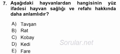 Laboratuvar Hayvanlarını Yetiştirme ve Sağlığı 2015 - 2016 Ara Sınavı 7.Soru
