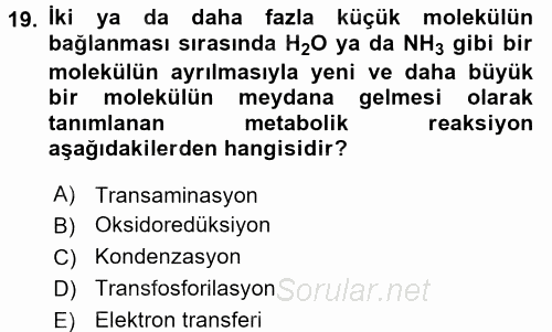 Hücre Kimyası 2016 - 2017 Dönem Sonu Sınavı 19.Soru