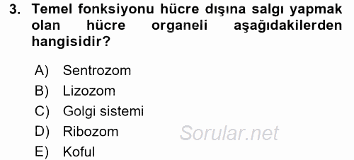 Hücre Kimyası 2016 - 2017 Dönem Sonu Sınavı 3.Soru
