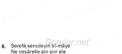 XIX. Yüzyıl Türk Edebiyatı 2012 - 2013 Dönem Sonu Sınavı 7.Soru