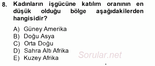 Sosyal Politika 2 2012 - 2013 Dönem Sonu Sınavı 8.Soru