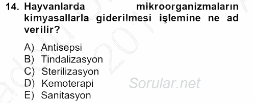 Temel Veteriner Mikrobiyoloji ve İmmünoloji 2012 - 2013 Ara Sınavı 14.Soru