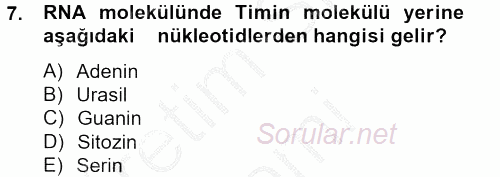 Temel Veteriner Mikrobiyoloji ve İmmünoloji 2012 - 2013 Ara Sınavı 7.Soru