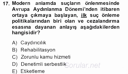 Suç Önleme Modelleri 2013 - 2014 Dönem Sonu Sınavı 17.Soru
