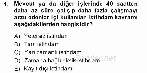 Endüstri Sosyolojisi 2013 - 2014 Dönem Sonu Sınavı 1.Soru