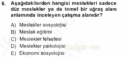 Endüstri Sosyolojisi 2013 - 2014 Dönem Sonu Sınavı 6.Soru