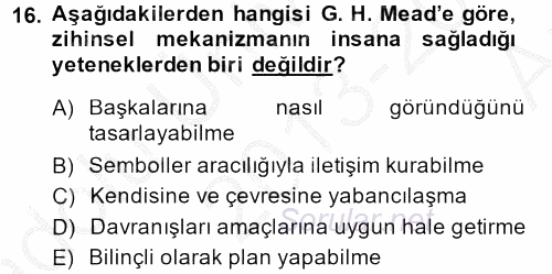 Modern Sosyoloji Tarihi 2013 - 2014 Ara Sınavı 16.Soru