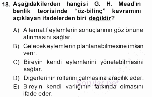 Modern Sosyoloji Tarihi 2013 - 2014 Ara Sınavı 18.Soru