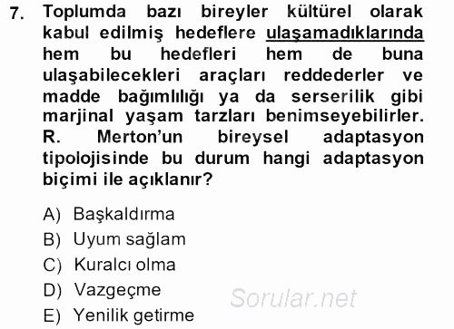 Modern Sosyoloji Tarihi 2013 - 2014 Ara Sınavı 7.Soru