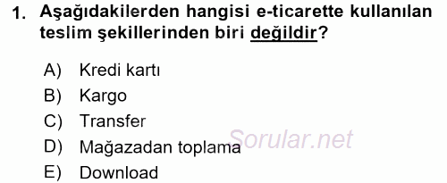 Dış Ticarette Bilgisayar Uygulamaları 2016 - 2017 3 Ders Sınavı 1.Soru