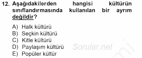 Medya Siyaset Kültür 2012 - 2013 Dönem Sonu Sınavı 12.Soru