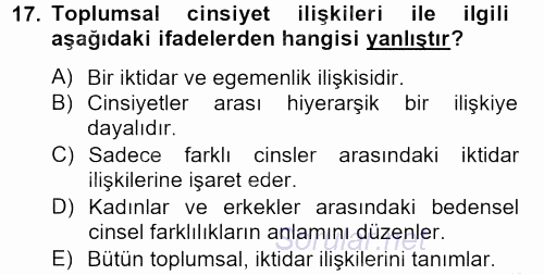 Medya Siyaset Kültür 2012 - 2013 Dönem Sonu Sınavı 17.Soru