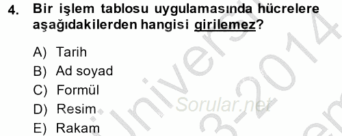 Dış Ticarette Bilgisayar Uygulamaları 2013 - 2014 Dönem Sonu Sınavı 4.Soru