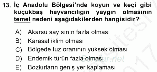 Yöresel Mutfaklar 2016 - 2017 Ara Sınavı 13.Soru