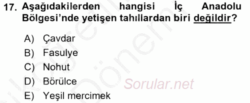 Yöresel Mutfaklar 2016 - 2017 Ara Sınavı 17.Soru