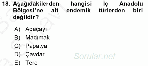 Yöresel Mutfaklar 2016 - 2017 Ara Sınavı 18.Soru