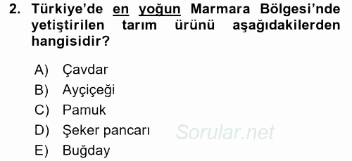 Yöresel Mutfaklar 2016 - 2017 Ara Sınavı 2.Soru