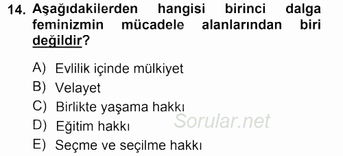 Toplumsal Cinsiyet Sosyolojisi 2012 - 2013 Dönem Sonu Sınavı 14.Soru