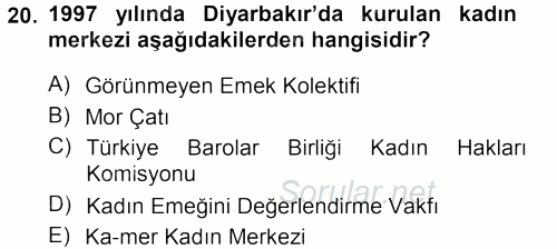 Toplumsal Cinsiyet Sosyolojisi 2012 - 2013 Dönem Sonu Sınavı 20.Soru