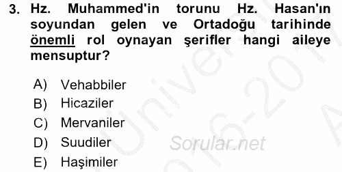 Modern Ortadoğu Tarihi 2016 - 2017 Ara Sınavı 3.Soru